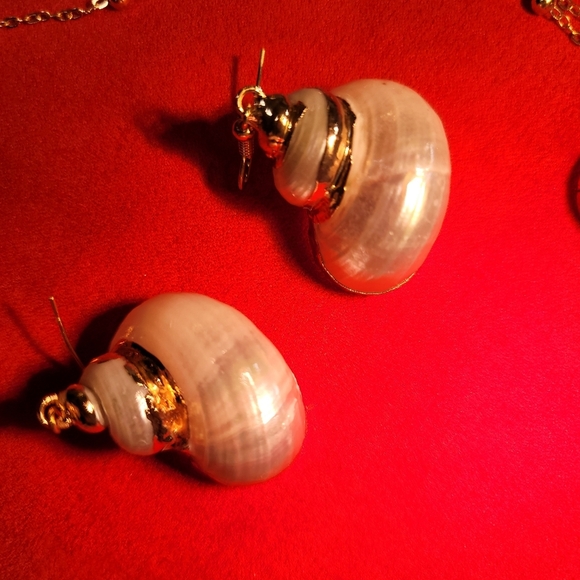 0288. New In Gift Box ~ Shells Dipped In GOLD! ~ Beautiful, FUN, Gold Trimmed - Picture 4 of 5
